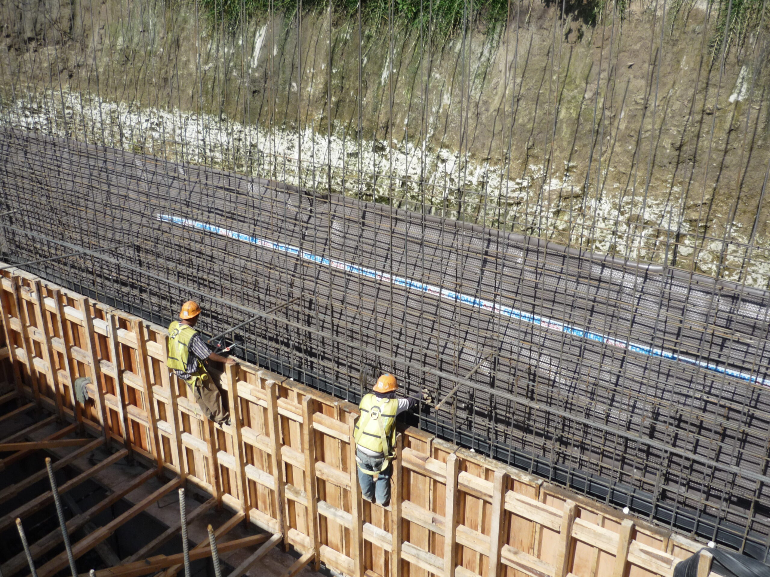 Copia de Fondaline Plus (3)